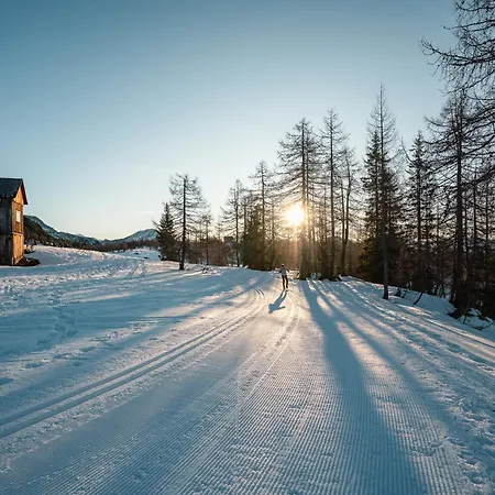 Kogler Bad Mitterndorf