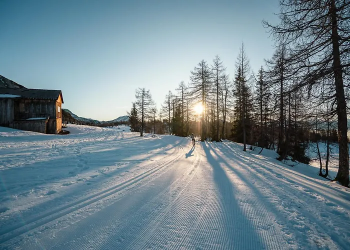 Kogler Bad Mitterndorf